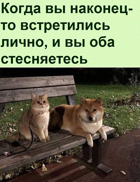 ������ ��������� :D - 9 ������� 2022 � 10:34