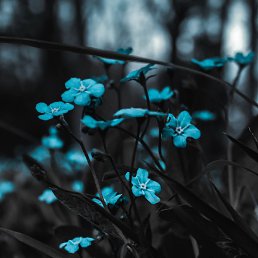 , , 26 