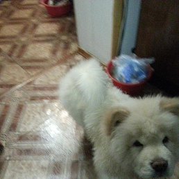 ���� �����, �����������, 52 ���� - ��������� 6 ������� 2022