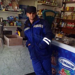 ������, �������, 37 ���