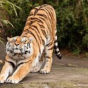 ���� ������, ������, 36 ��� - ��������� 23 ������ 2023