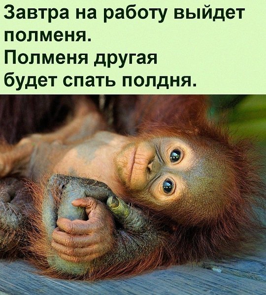   :D - 6  2022  18:46