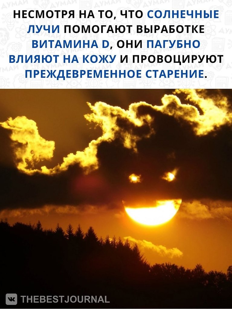     ,    ,       .   ... - 3