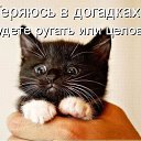 ���� Anatol, ��������, 74 ���� - ��������� 4 ������� 2022 � ������ ���� ����������