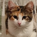 ���� �����, ������������ - ��������� 8 �������� 2022 � ������ ���� ����������