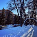  .,  -  17  2022    