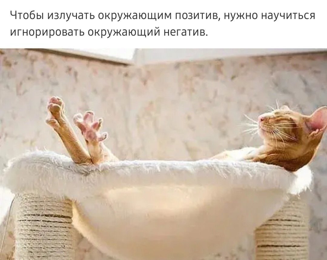   - 23  2022  22:12