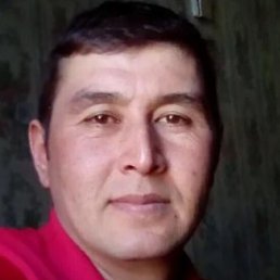 , -, 42 