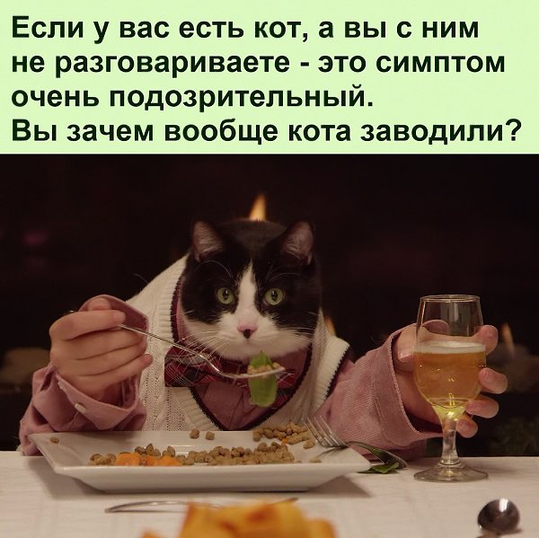 � � ������ ��� � ������ ����