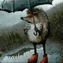 ���� ������, �������, 51 ��� - ��������� 15 ������� 2023 � ������ ���� ����������