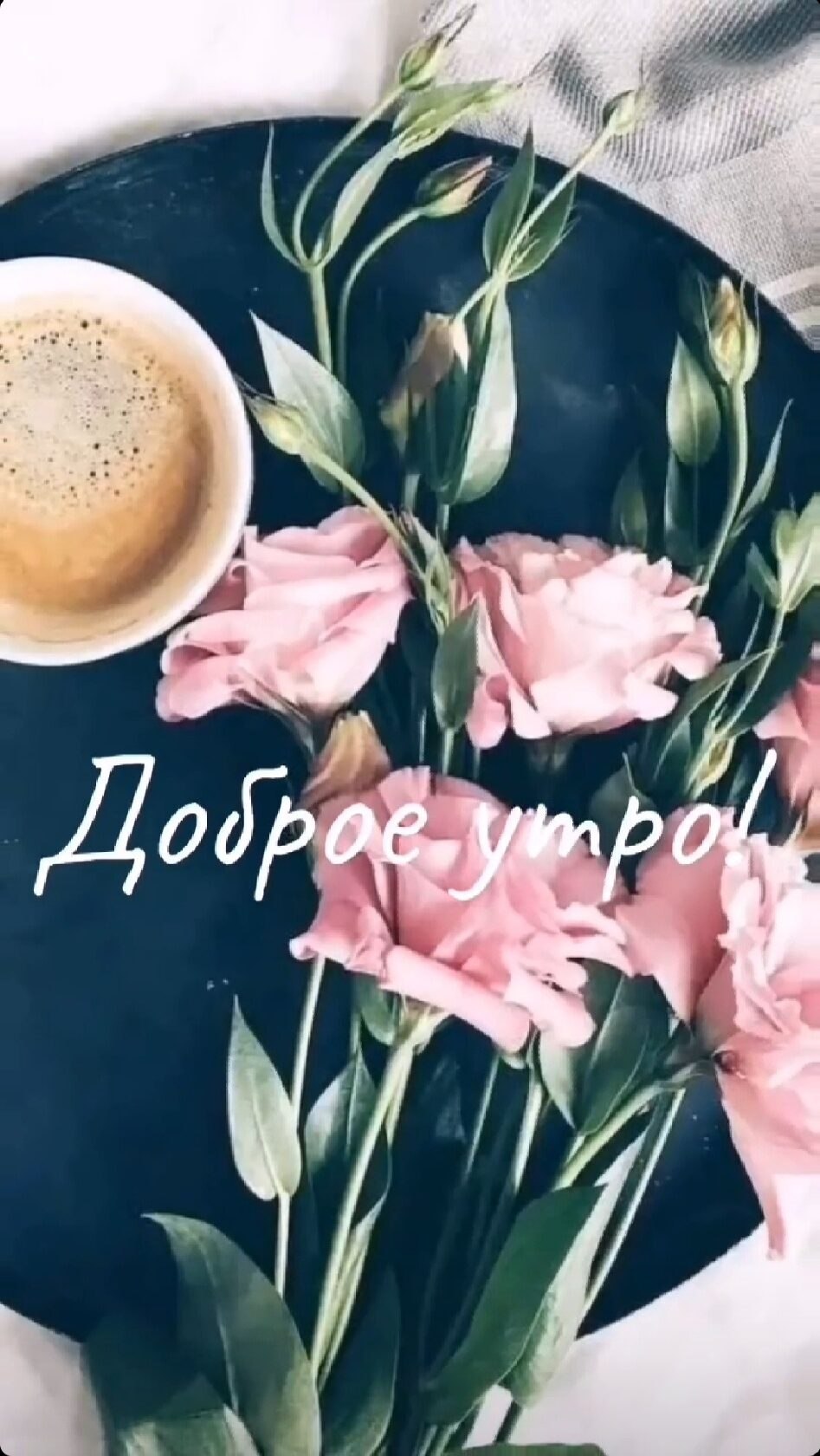 ***Victoria Viktorovna*** - 22  2022  03:39