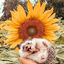 ���� �����, ������, 56 ��� - ��������� 24 �������� 2022 � ������ ���� ����������