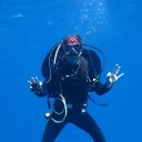 ���� Shark, �������, 45 ��� - ��������� 3 ������ 2022