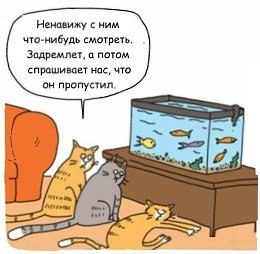   - 10  2023  21:58