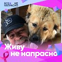 ���� ����, �����-��������� - ��������� 27 ������� 2022 � ������ ������ ��������