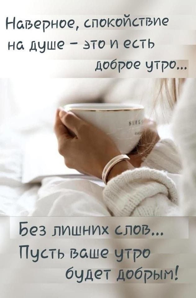   ,    . - 3  2023  22:44