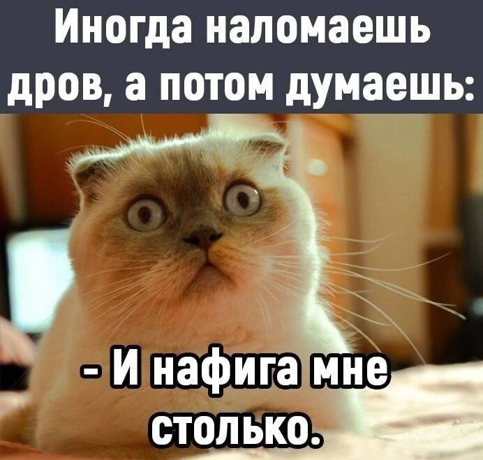   - 18  2022  07:11