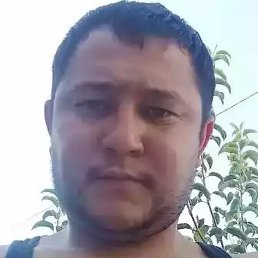 ������, ����, 50 ���