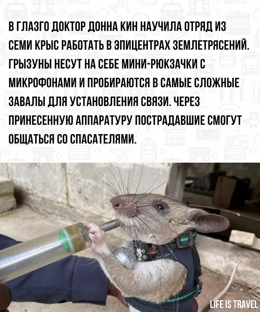 LIFE -  - 9  2022  15:54 - 2
