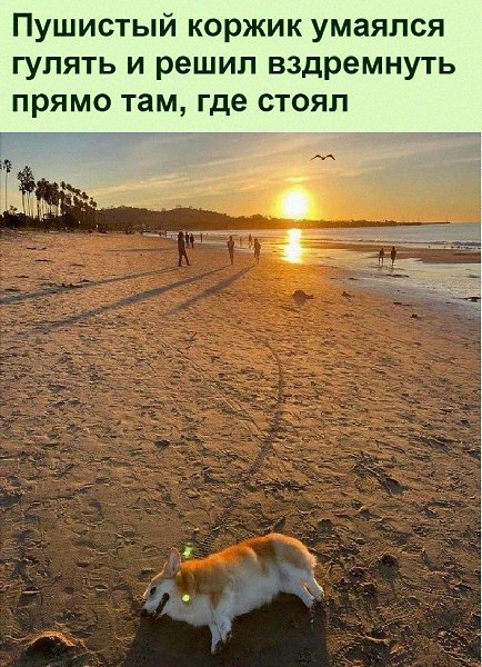 ������ ��������� :D - 10 ������� 2022 � 17:22