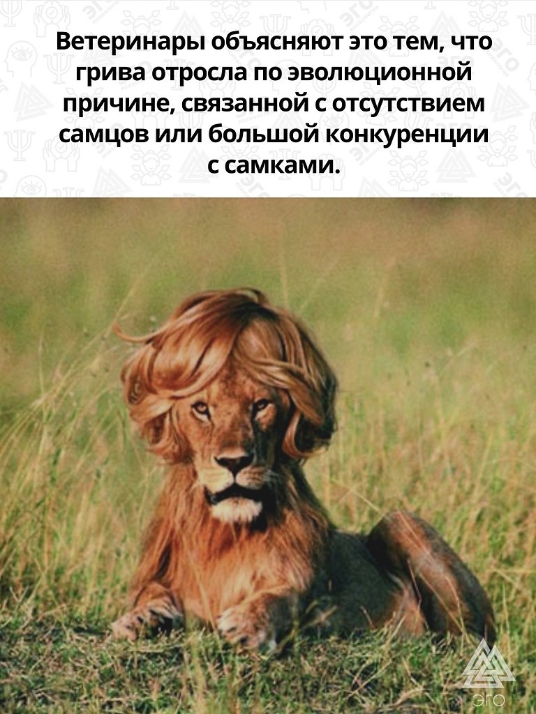    ! - 3