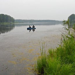 �������, �����������, 60 ���