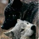 ���� �������, �������� - ��������� 18 �������� 2022 � ������ ���� ����������