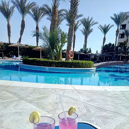 ���, �������, 54 ����