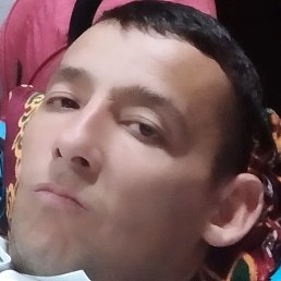 Gayrat, , 37 