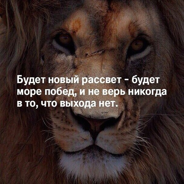 ������� ������ ����������� - 11 ������� 2022 � 13:00