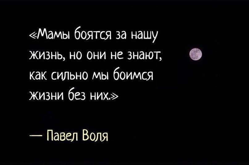   -  ,  -  - 7  2023  20:33