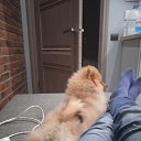 ���� ����, ������, 58 ��� - ��������� 26 ������ 2022 � ������ ���� ����������