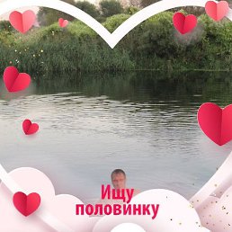 ����, ������, 43 ����