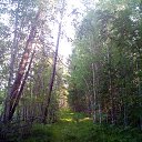 ���� ����, ��������, 63 ���� - ��������� 14 ���� 2022