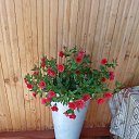 ���� ��������, �����, 72 ���� - ��������� 28 ���� 2022 � ������ ���� ����������