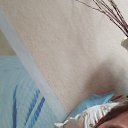 ���� �����, �������������, 38 ��� - ��������� 6 ������ 2022 � ������ ���� ����������