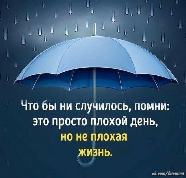   ,    . - 29  2022  20:48