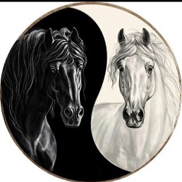 �������, ������, 46 ���