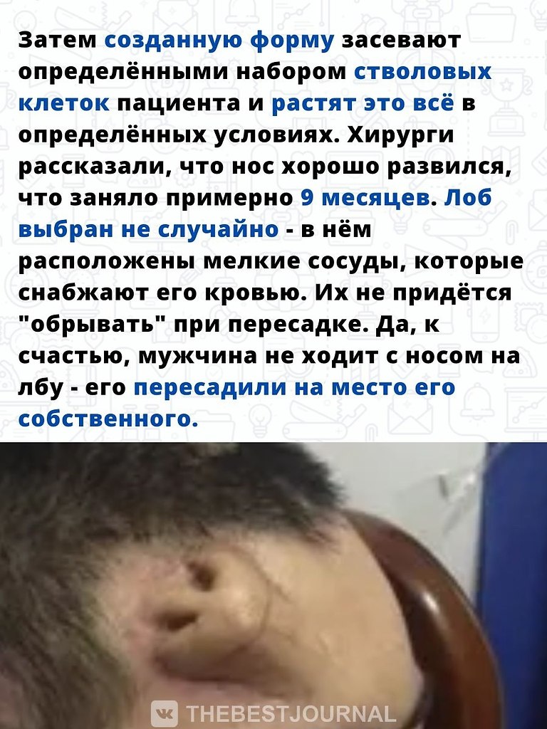      .   ,      . - 3