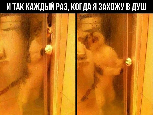    - 6  2022  21:36