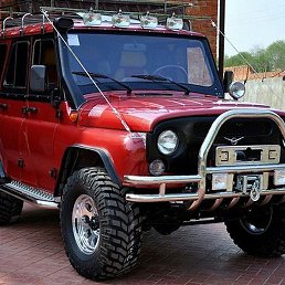 ������, �����, 65 ���