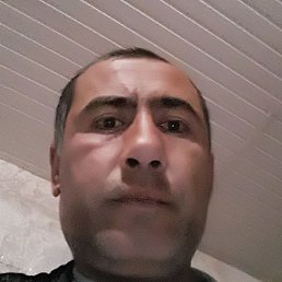 �, ���������, 40 ���