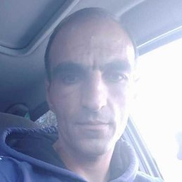 �����, ������, 41 ���