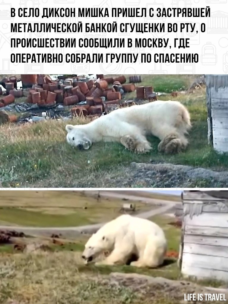       .      ,  ... - 2