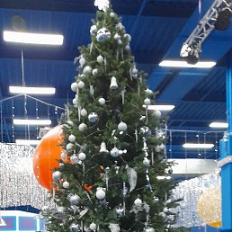 ���� �������, ���������, 57 ��� - ��������� 3 ������� 2023