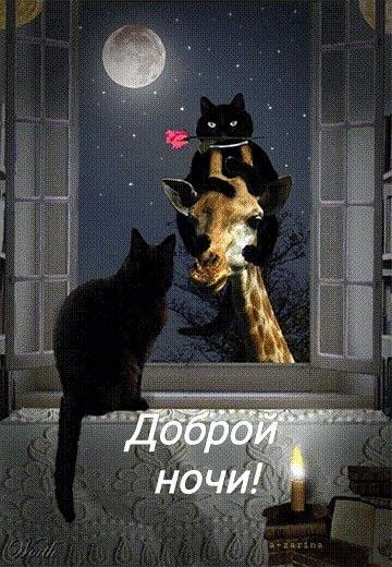   - 8  2022  21:53