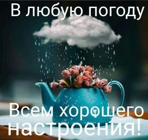   - 16  2022  20:35