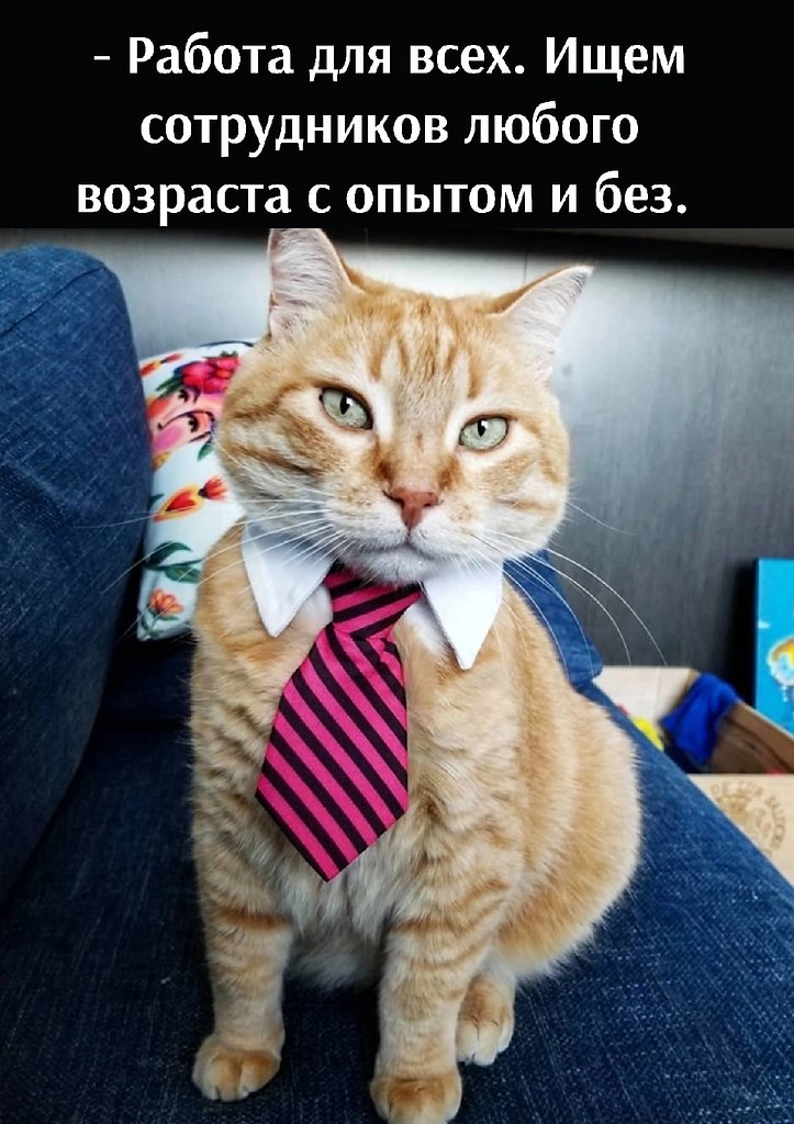       - 19  2022  13:09