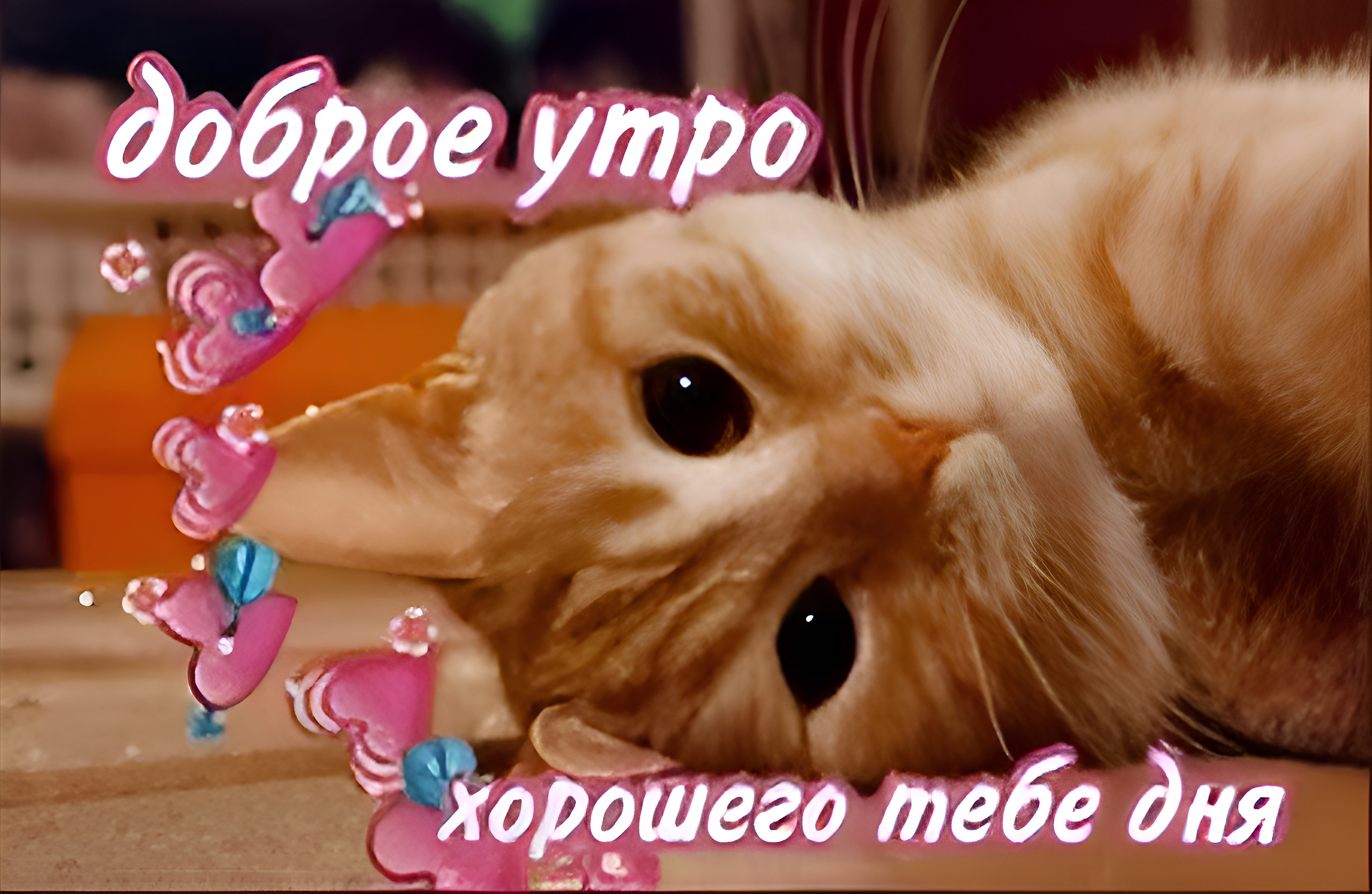  - 13  2022  04:31