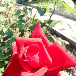 ���� ����, �����, 51 ��� - ��������� 26 ������� 2022